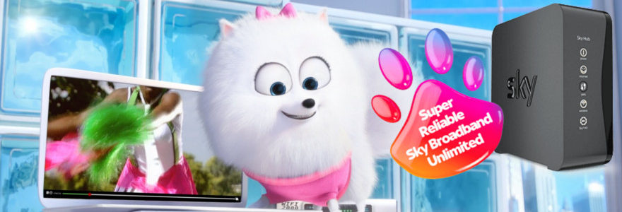 Virgin force Sky to drop Pets ad with 'Super Reliable broadband' claim 8